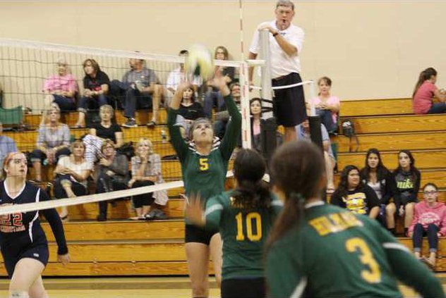 hilmar volley