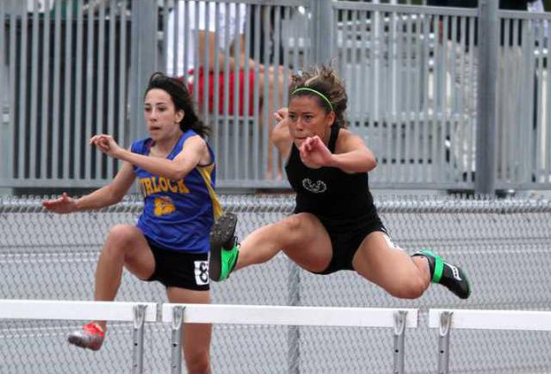 pitman track
