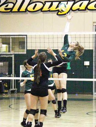 Hilmar VB pic1