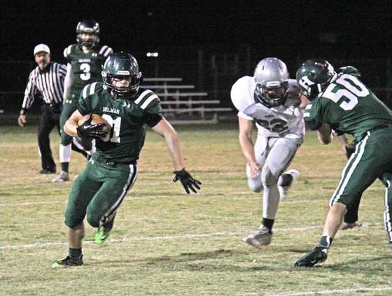 hilmar2