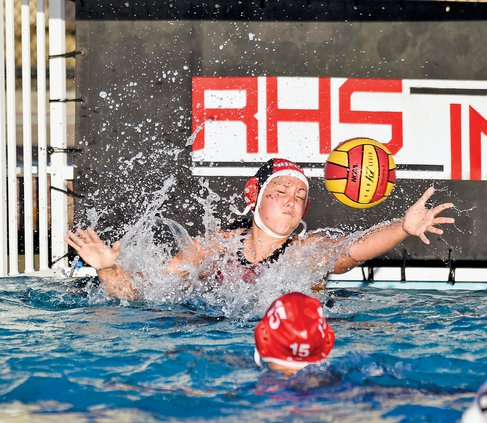 Bulletin water polo 2018
