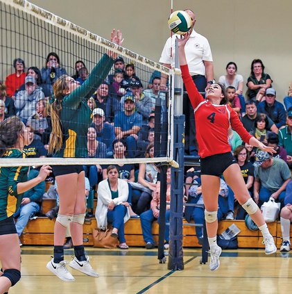 Bulletin volleyball 2018