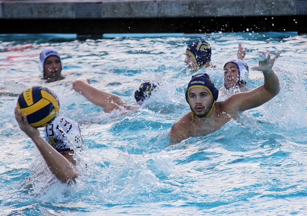 turlock polo 2