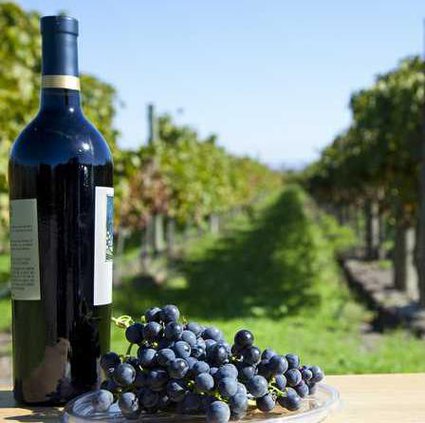 4-4 Vineyards pix