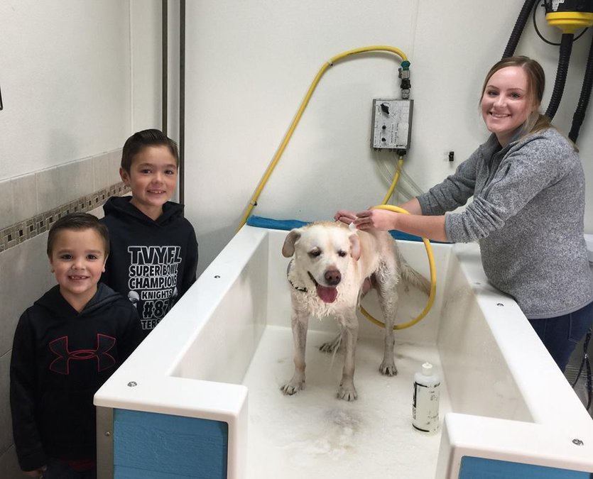 Aunty’s Grooming’s helping pets from wildfire Manteca Bulletin