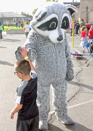 RACCOON