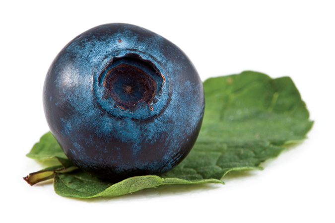 The Super Hero Of Super Foods 9 Magazine