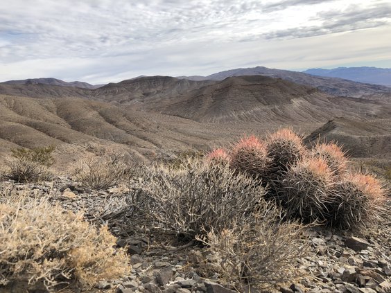 Death Valley