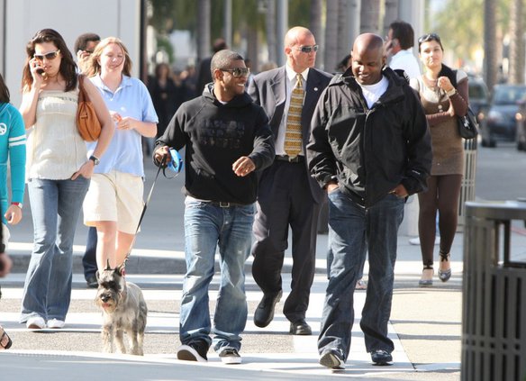 POPILATION webart.jpg