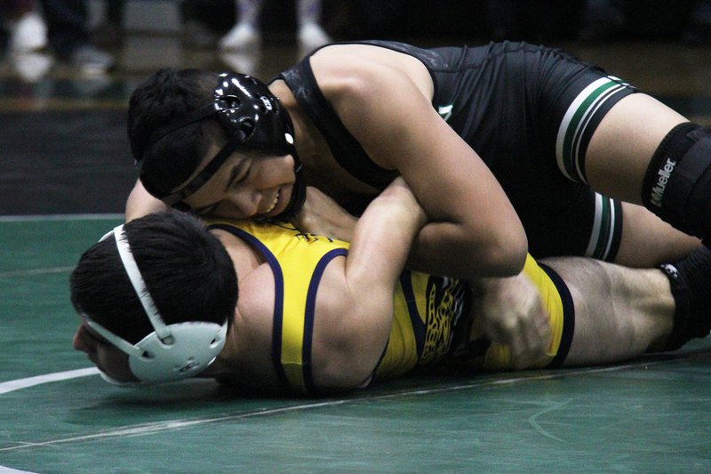 pitman wrestling 2