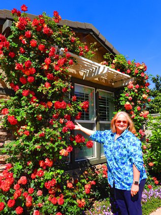 BulletinGardenBone3 DSCN6486.jpg