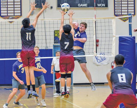 Bulletin boys volleyball 2019