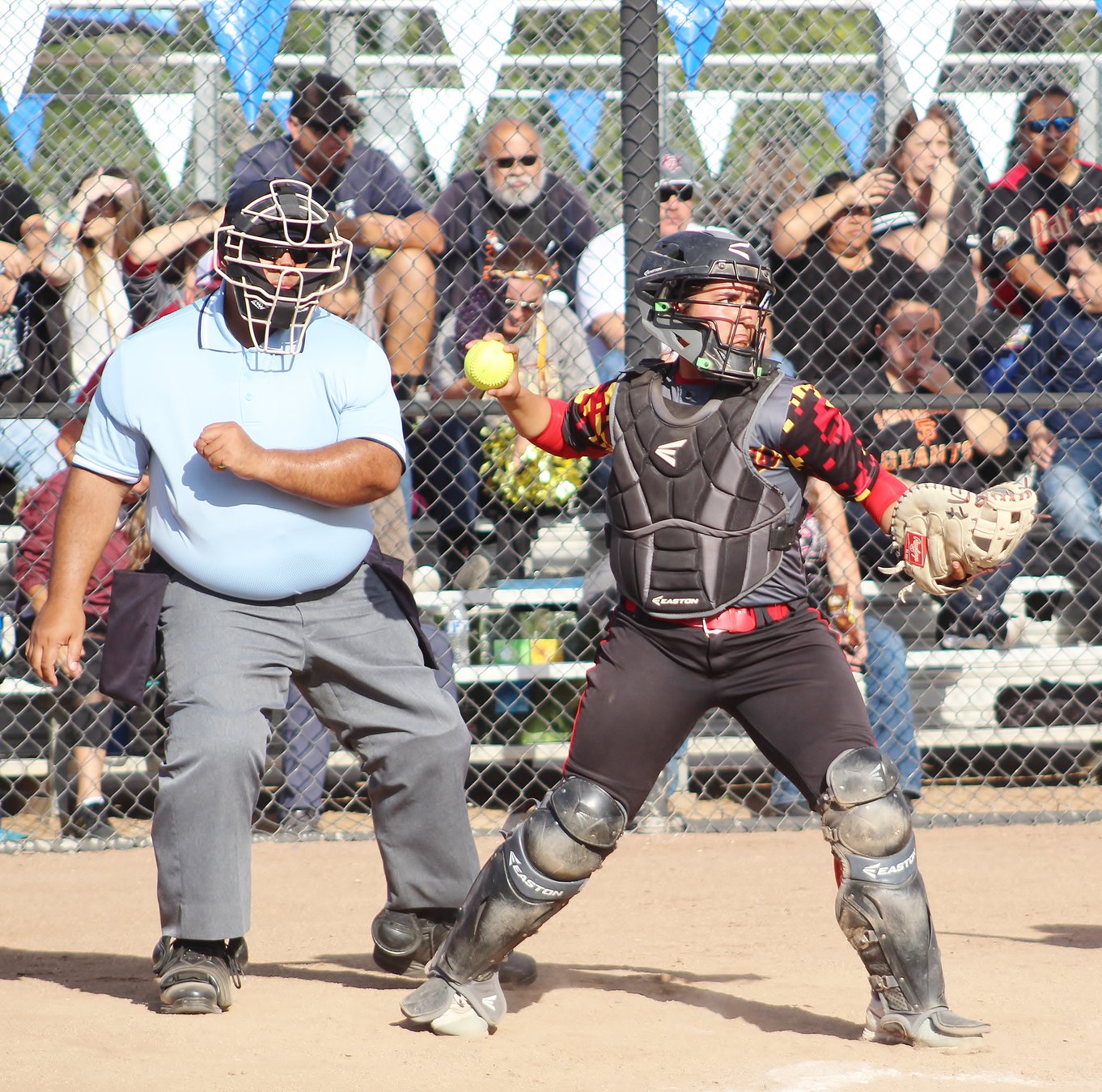 Softball Lady Mustangs Capture Section Championship Oakdale Leader