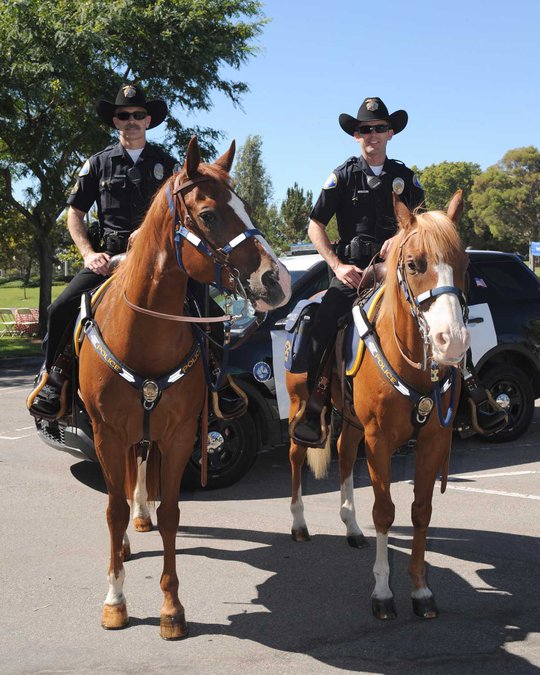 Dinnerdance Saturday supports Manteca Police mounted horse unit