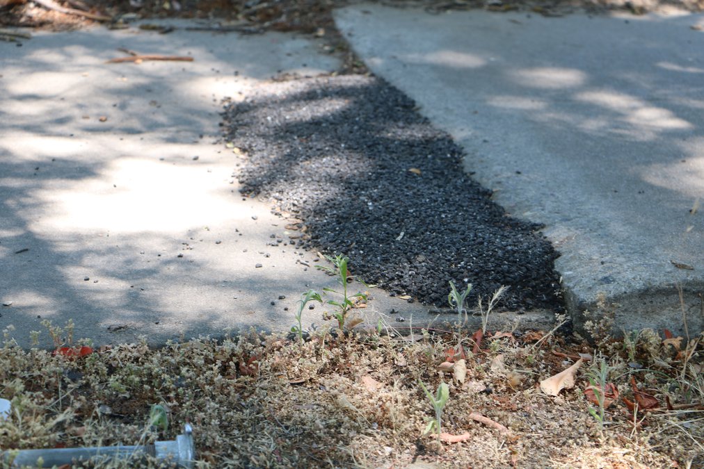 Manteca's sidewalks are as bad as the city has allowed ...