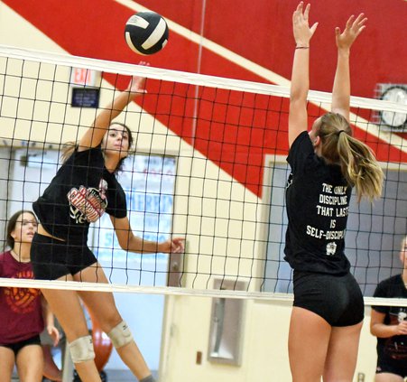 Bulletin girls volleyball 2019