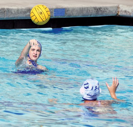 Bulletin water polo 2019