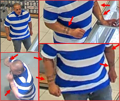 target theft suspect 1