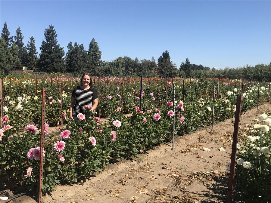 Blooming Business Firmly Planted In Oakdale Oakdale Leader