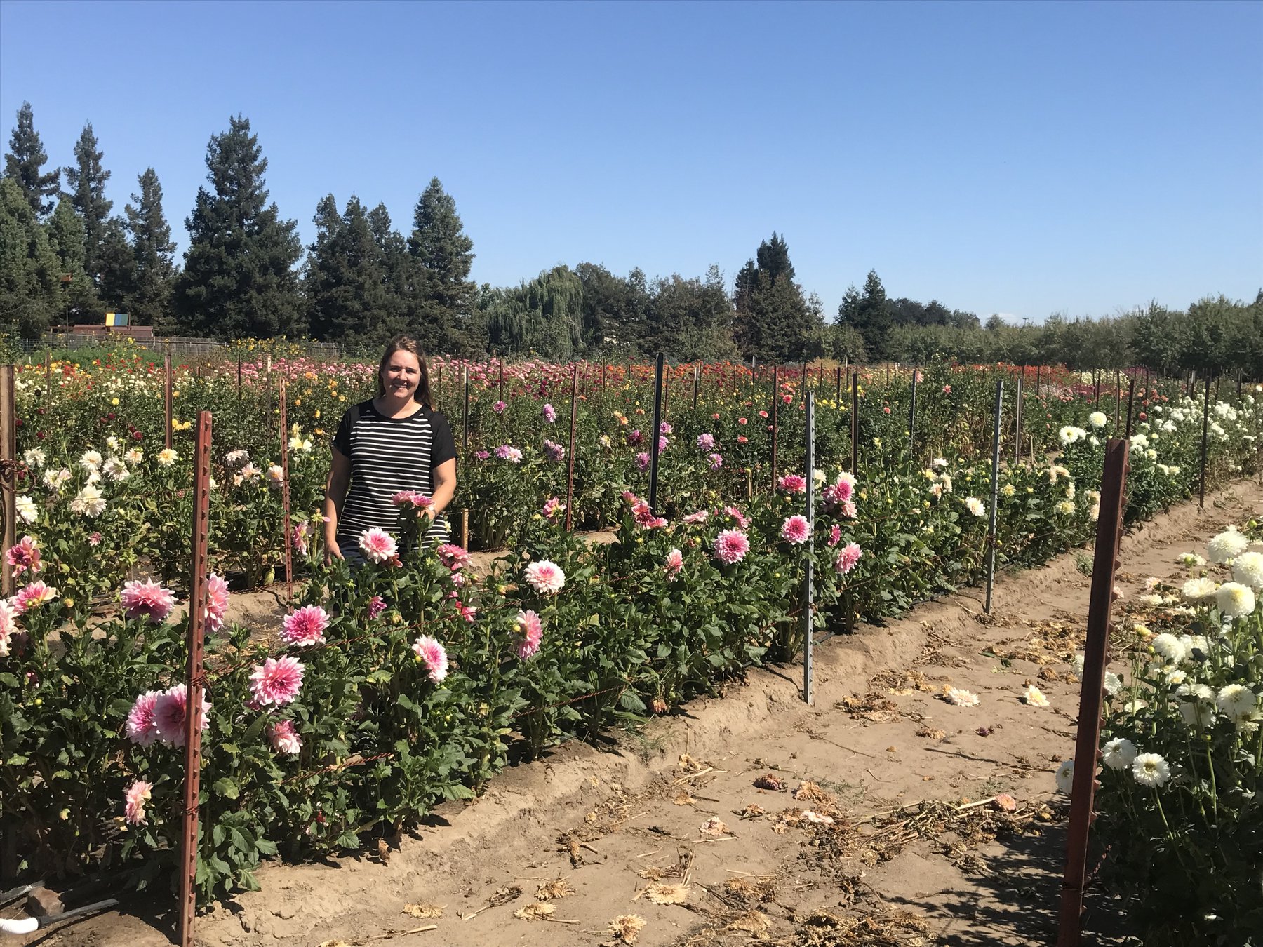 Blooming Business Firmly Planted In Oakdale Oakdale Leader