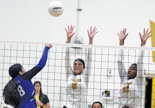 Bulletin girls volleyball 2019