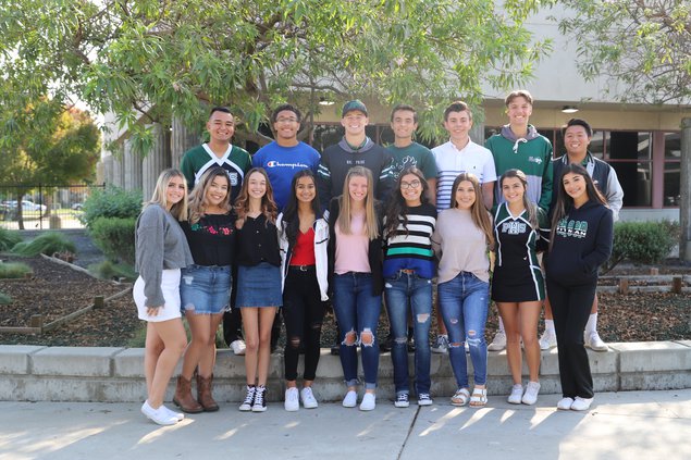 Pitman homecoming candidates