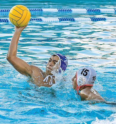 Bulletin water polo 2019