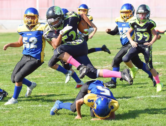 Ripon Knights take down Seahawks