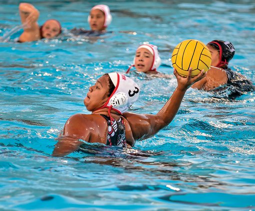 Bulletin water polo 2019