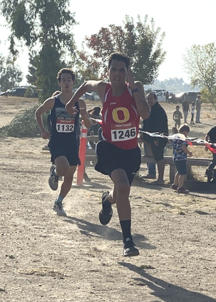 dl run