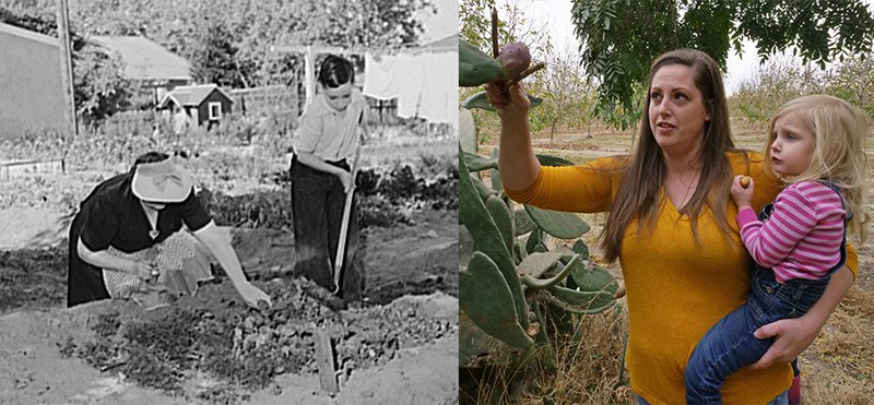 Turlock housewives gardening