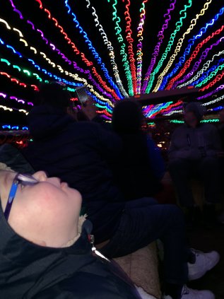 lights dylan