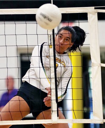 bulletin girls volleyball 2019