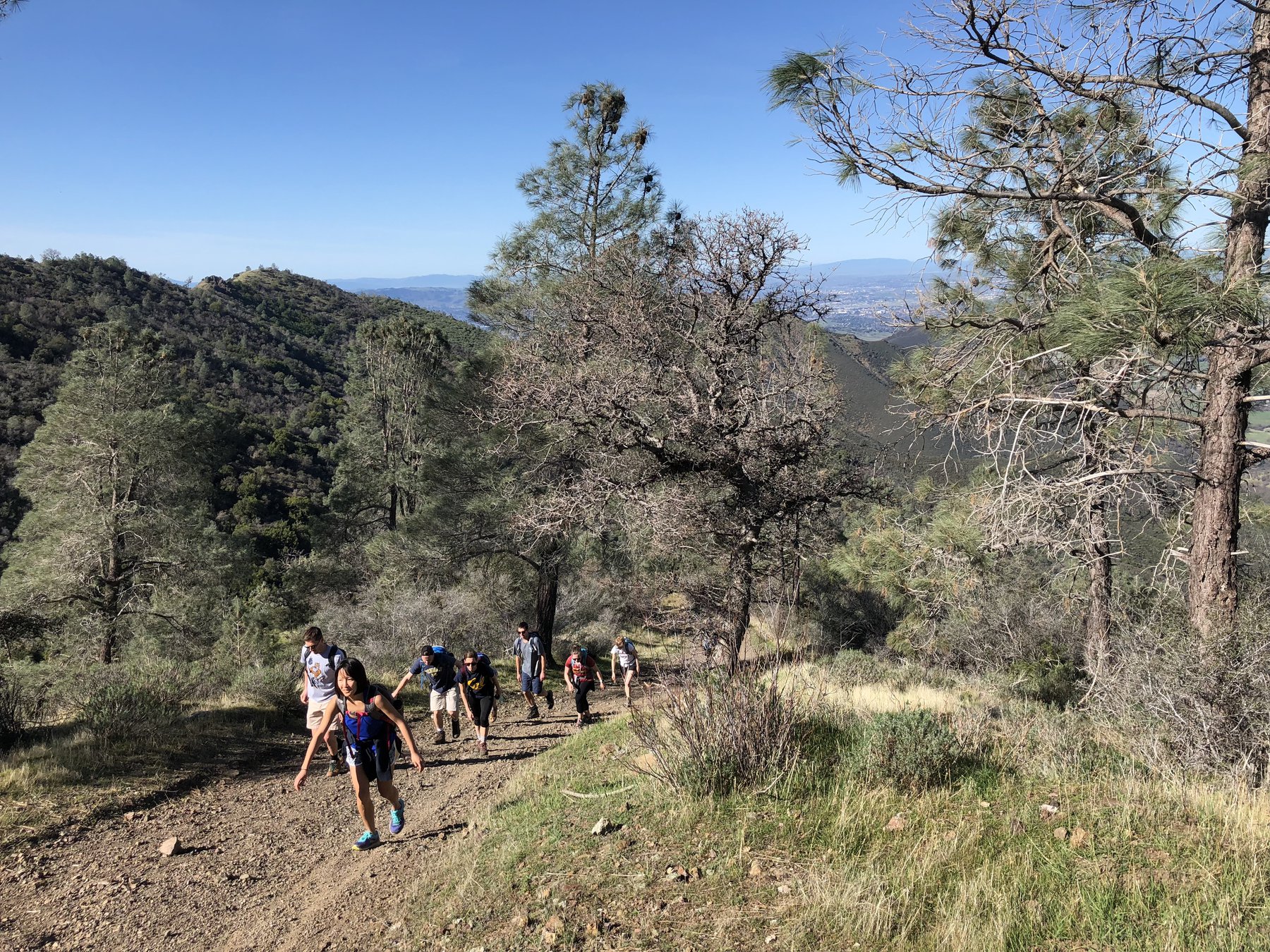 Mt. Diablo State Park: Wildflowers, Vistas, Rock Climbing And More ...