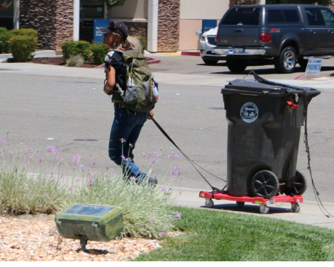 homeless carts