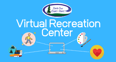 virtual rec
