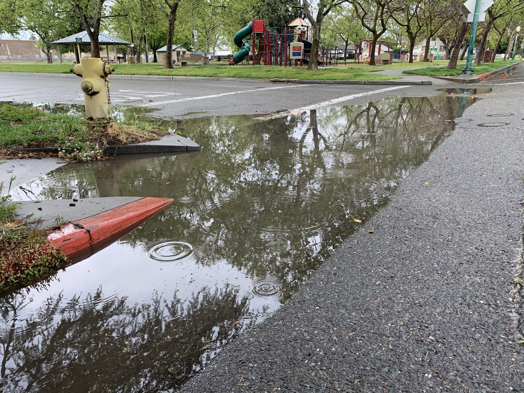 Storms bring little drought relief - Turlock Journal
