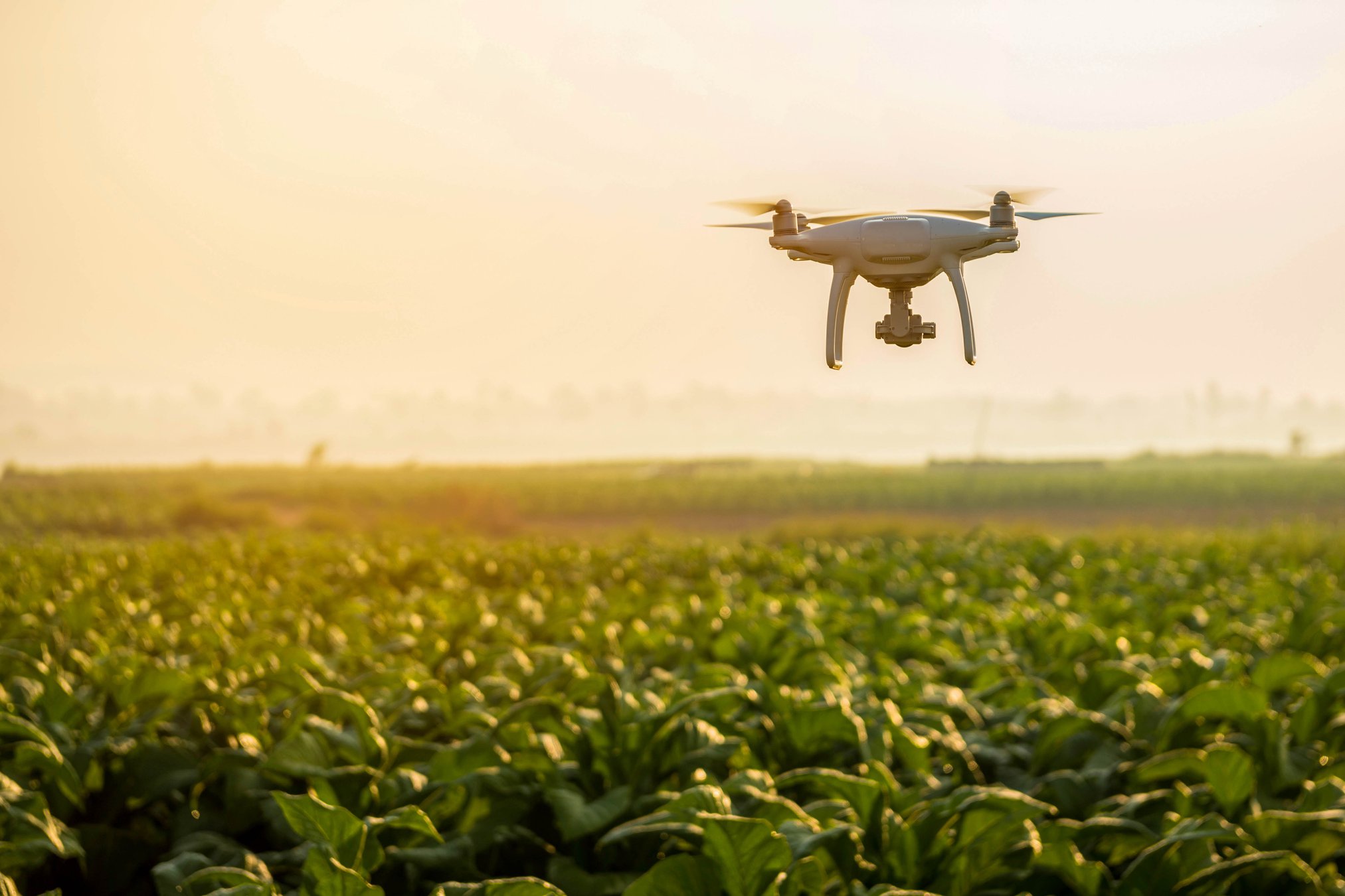 How Farmers Are Using Drones To Their Advantage - Escalon Times