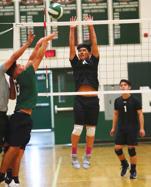 Bulletin boys volleyball 2019
