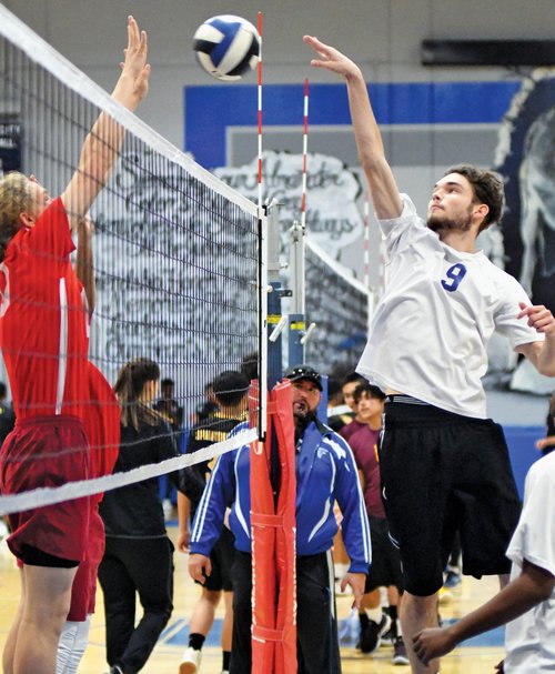 Bulletin boys volleyball 2020