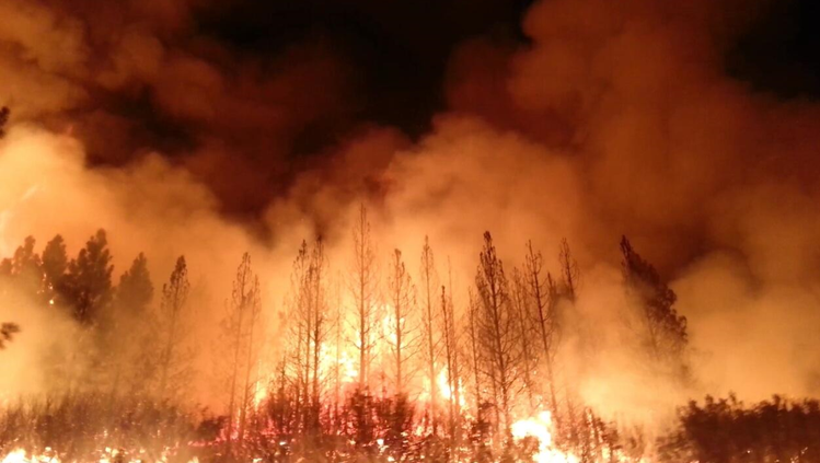rim fire