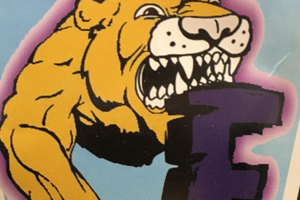 cougar