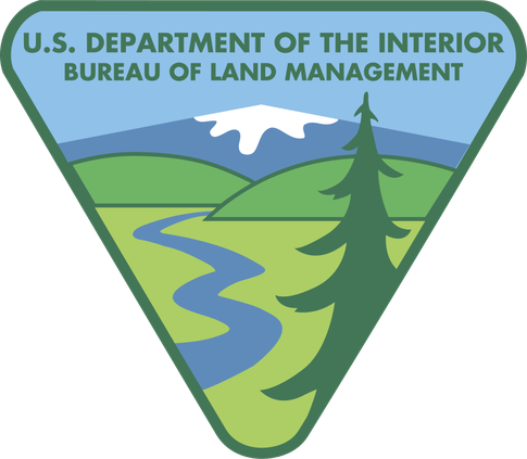 BLM logo