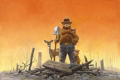 smokey bear
