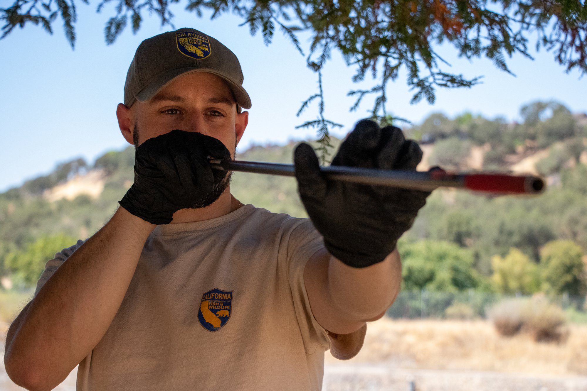 Can You Use A Blowgun To Hunt Big Game? Escalon Times