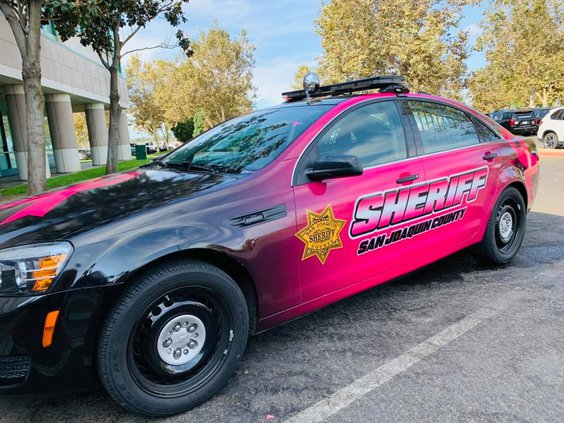 patrol cars pink