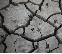 drought