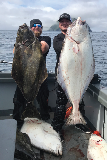 Alaska Magazine  Fishing with a Wooden Halibut Hook