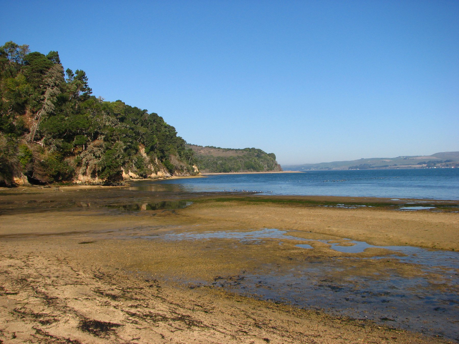 How Many Rods Can I Use While Fishing In Tomales Bay? Escalon Times