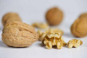 walnut